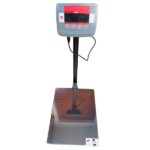 BALANZA ELECTRÓNICA DE PLATAFORMA 300KG